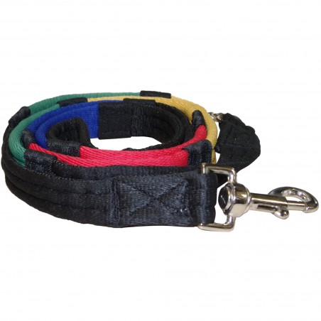 Riendas Educativas con Mosquetones Canter