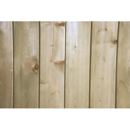 Pino Clin del norte La Gée