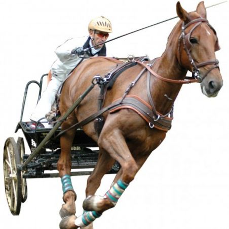 Brida Marathon para arnés trote enganchado Eric Le Tixerant