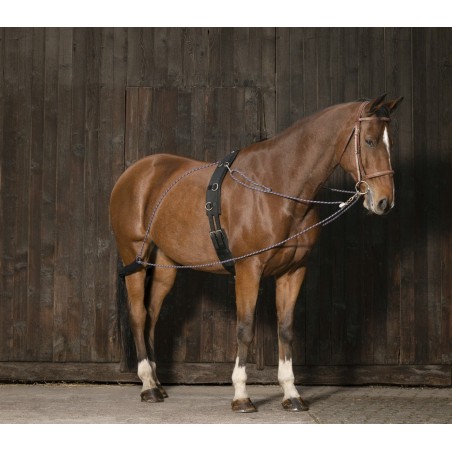 Chambón con poleas Norton