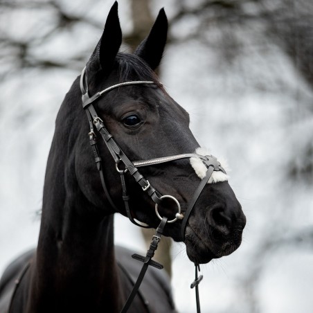 Cabezada Mexicana Valencia Horze