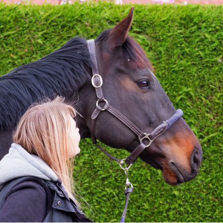 Cabezada de cuadra CHETAK cuerda