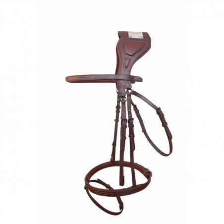 Cabezada con puente Chagall T de T