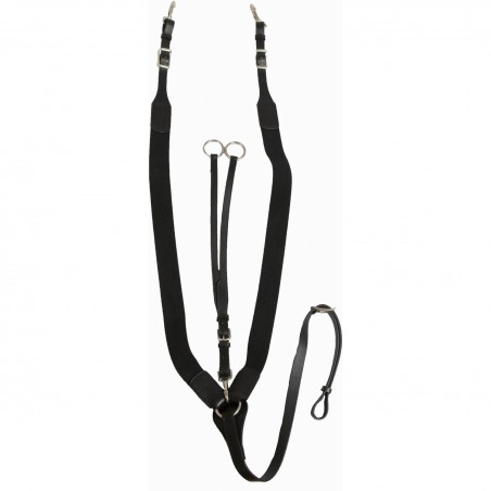 Peto elástico T de T