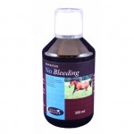 No sangrado Maestro de Caballos