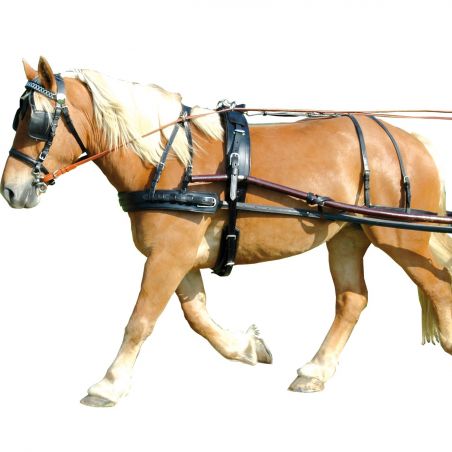 Arnés euro Chetak con correa trasera