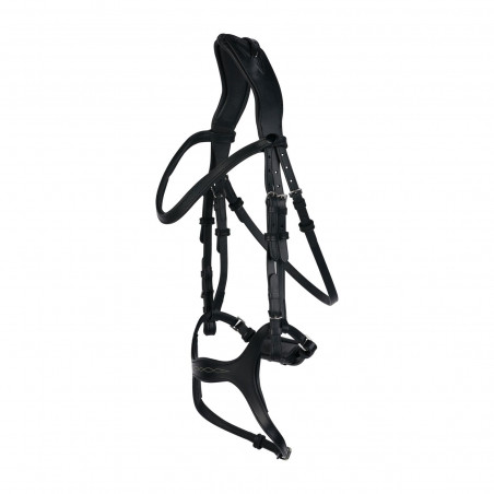Peckham Anatomic Bridle with Embroidery Horze