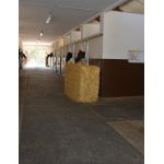 Delta Diámetro 8 mm - Calle, Caminador, Solárium