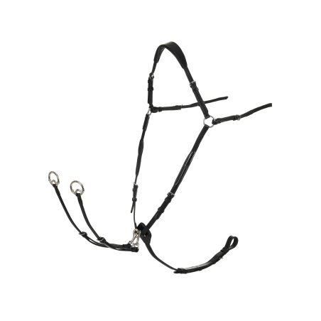 Pechopetral con martingala LeMieux