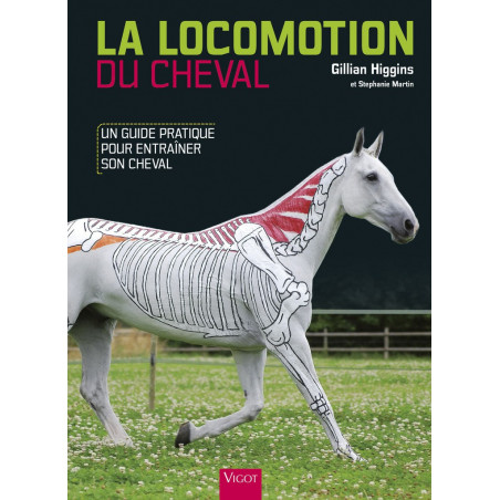 La Locomoción del Caballo