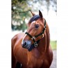 Cabezada de nylon Finn-Tack - Verde