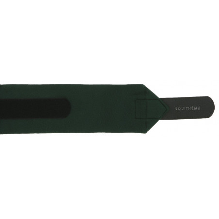 Vendas de polo Equithème