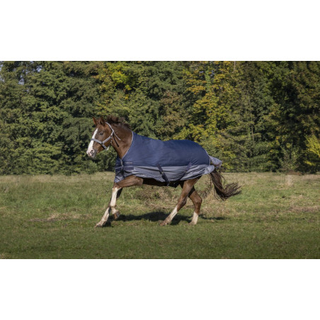 Manta Equi-Theme Tyrex 600 D High Neck 300g