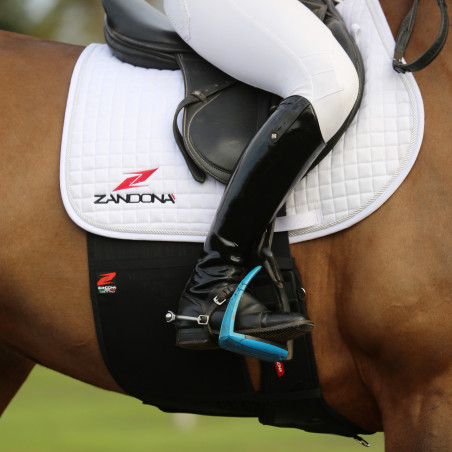 Banda de respeto Zandona Evo Superior