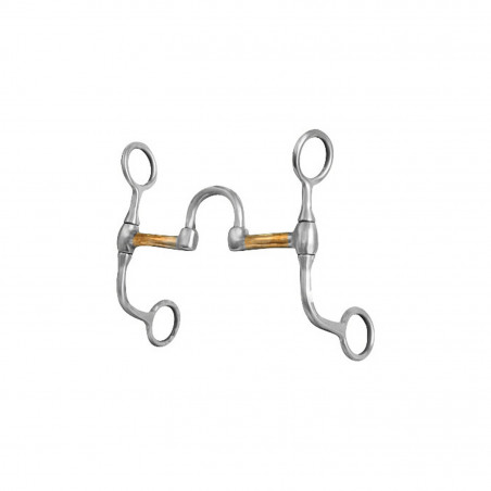 Mors correccional western Pool's