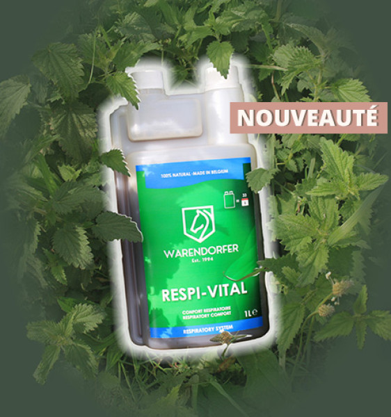 Sorteo