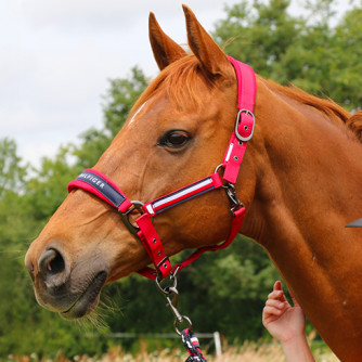 Descubre la colección Tommy Equestrian P/V 2026