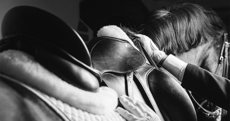 ¿Cómo limpiar y mantener sus cueros? - Blog Équi-Clic