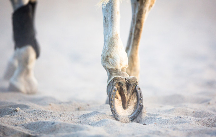 ¿Cómo curar los tenedores podridos?