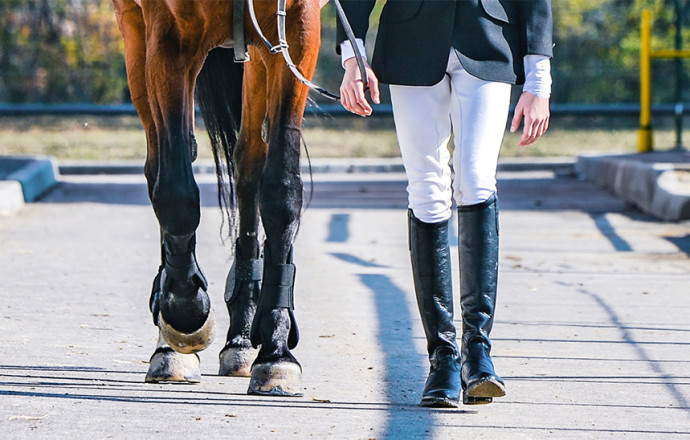 El “Must Have” para tener en el baúl de tu competencia - Blog Équi-Clic