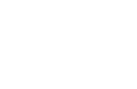 Veredus