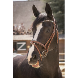 Brida Pénélope Smoothie Pearl