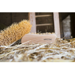 Cepillo de raíces natural HIPPOTONIC modelo pequeño Cepillo de raíces natural HIPPOTONIC modelo pequeño