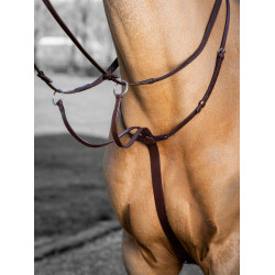 Martingala con anillos LeMieux Arika