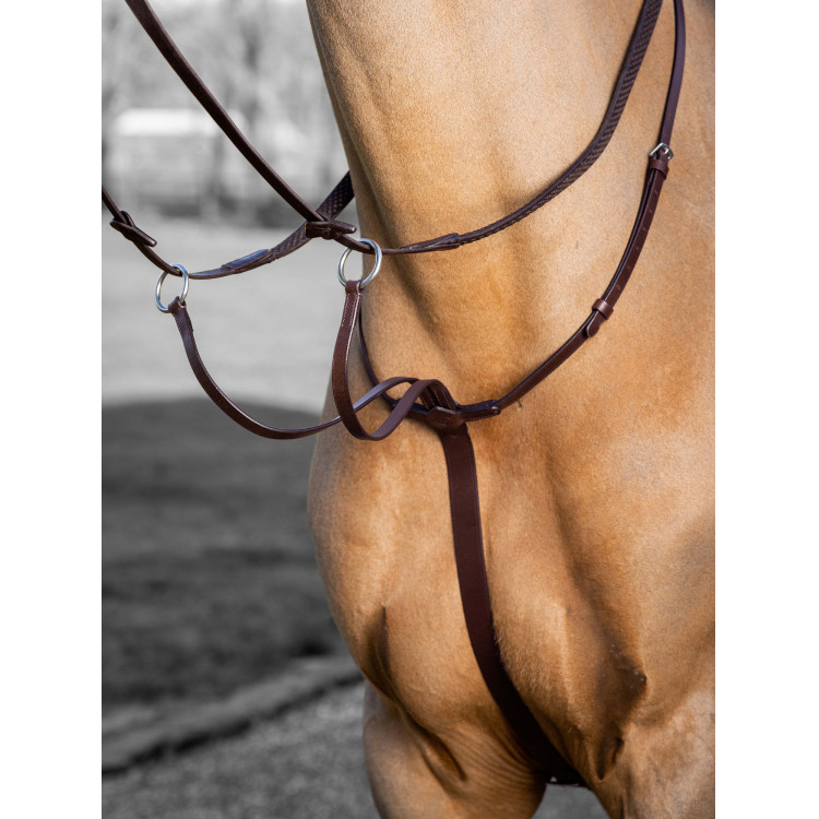 Martingala con anillos LeMieux Arika