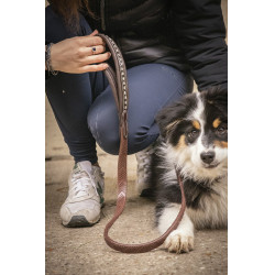 Correa para perros Pénélope Rubber Correa para perros Pénélope Rubber