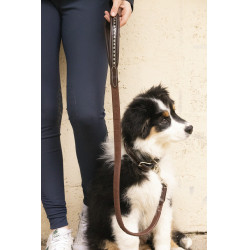 Correa para perros Pénélope Rubber Correa para perros Pénélope Rubber