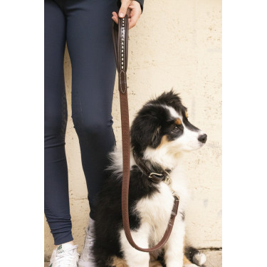 Correa para perros Pénélope Rubber Correa para perros Pénélope Rubber