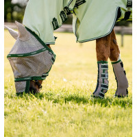 copy of Protectores anti moscas LeMieux Gladiator Mesh Plateado / azul copy of Protectores anti moscas LeMieux Gladiator Mesh Plateado / azul