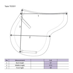 Mantilla Teddy Back On Track