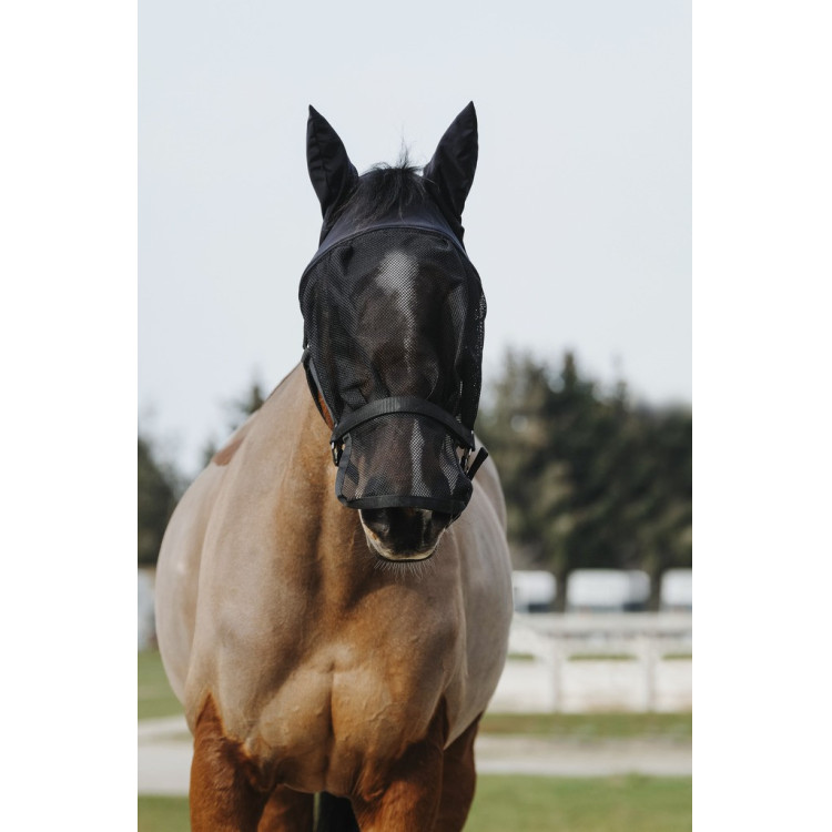 Cabezada + máscara Equithème