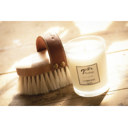 Vela El Origen Pénélope Vela El Origen Pénélope