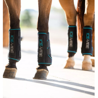 Gueteras de masaje Horseware Ice-Vibe Gueteras de masaje Horseware Ice-Vibe