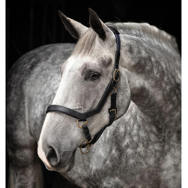 Cabezada Rambo Micklem Horseware Cabezada Rambo Micklem Horseware