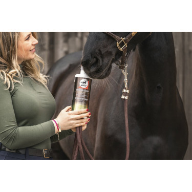 Alimento complementario Leovet Elixir Bronquios jarabe Alimento complementario Leovet Elixir Bronquios jarabe