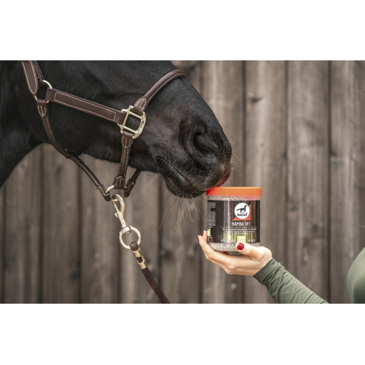 Complemento alimenticio Leovet Hamba Vet Complemento alimenticio Leovet Hamba Vet