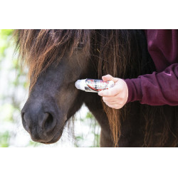 Repelente Leovet Power Phaser Roll-on Repelente Leovet Power Phaser Roll-on