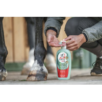Gel refrescante LEOVET Aloe vera