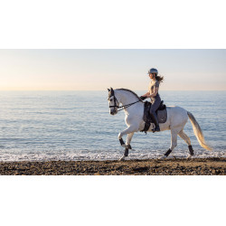 Manta de doma LeMieux Earth Square Musgo Marrón