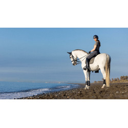 Manta de doma LeMieux Earth Square Musgo Marrón