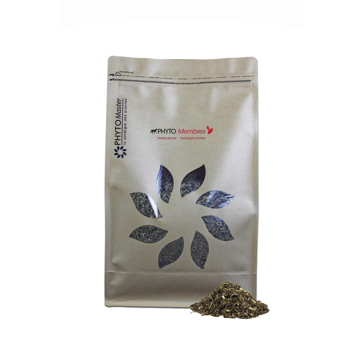 phyto miembros Phytomaster
