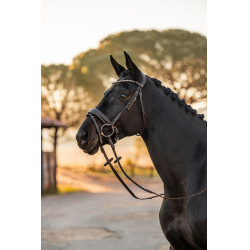 Brida anatómica Horze Lockhart Brida anatómica Horze Lockhart