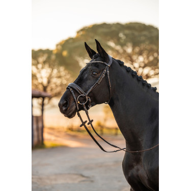 Brida anatómica Horze Lockhart Brida anatómica Horze Lockhart