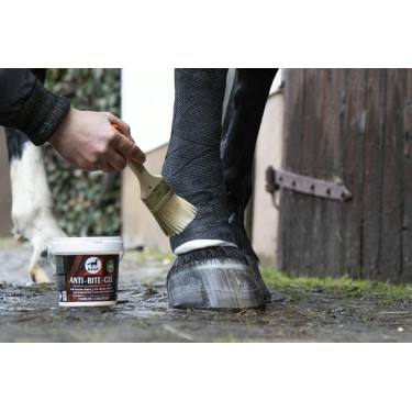 Gel anti-mordisqueo Leovet Gel anti-mordisqueo Leovet