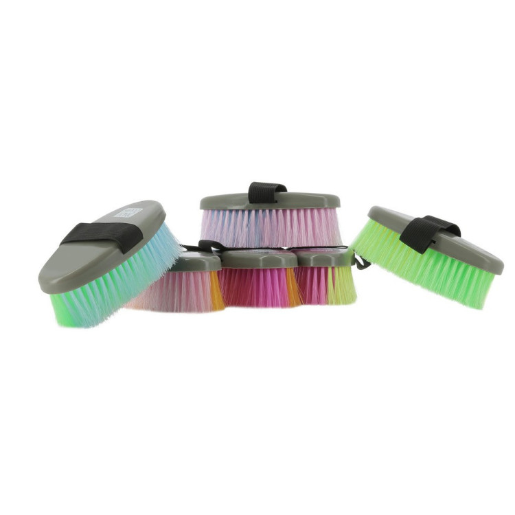 Juego de 12 cepillos HIPPOTONIC multicolores