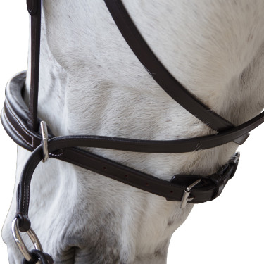 Bridon Canter sin embocadura Evolution Bridon Canter sin embocadura Evolution